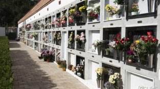 El cementiri municipal ha lluït aquesta setmana els seus millors colors