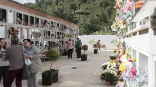 El cementiri municipal ha lluït aquesta setmana els seus millors colors