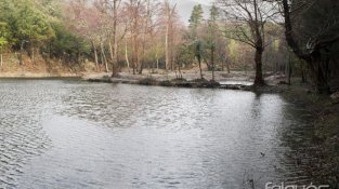 Llac de Requesens, un dels punt de l'itinerari dels boscos de Requesens