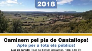 El mercat coincidirà amb la caminada solidària de la Marató de TV3