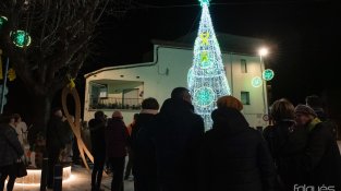 En l'última setmana s'han fet diverses accions