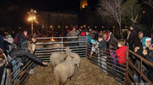 A Cantallops van instal·lar el seu campament