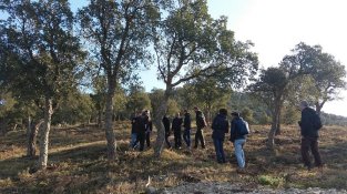 Entre aquest any i l'any que ve també es faran intervencions al coll de Panissars i al corredor d'infraestructures