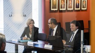 Prèviament, Buch havia presentat el projecte a l'ajuntament