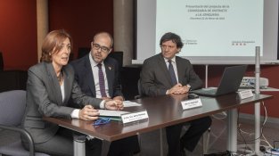 Prèviament, Buch havia presentat el projecte a l'ajuntament