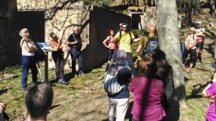 Hi van participar una quarantena de persones