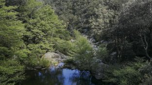 Imatge de l'excursió