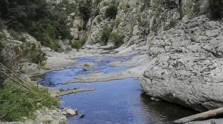 Imatge de l'excursió