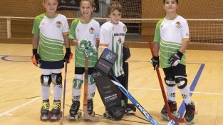 Una representació del benjamí