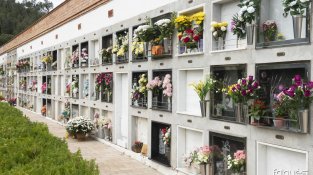 La brigada municipal ha fet diversos treballs d'arranjament al cementiri