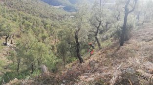 Ahir es va fer una visita sobre el terreny
