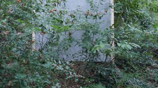 La mostra es podrà visitar fins el 31 de maig