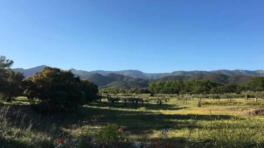 Cal Flaquer de Cantallops, una residència artística temporal