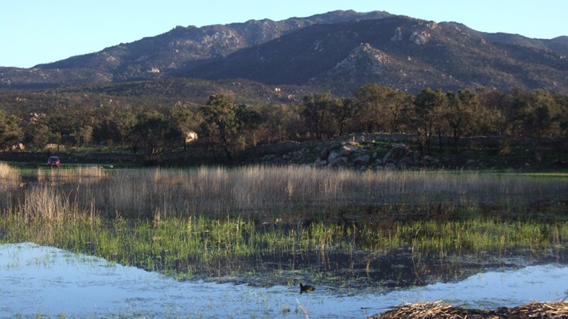 'Paisatges Salvats' organitza una visita a l'Albera