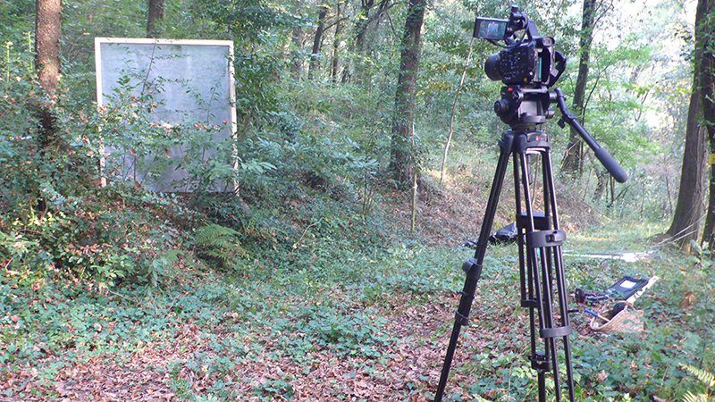 La mostra es podrà visitar fins el 31 de maig