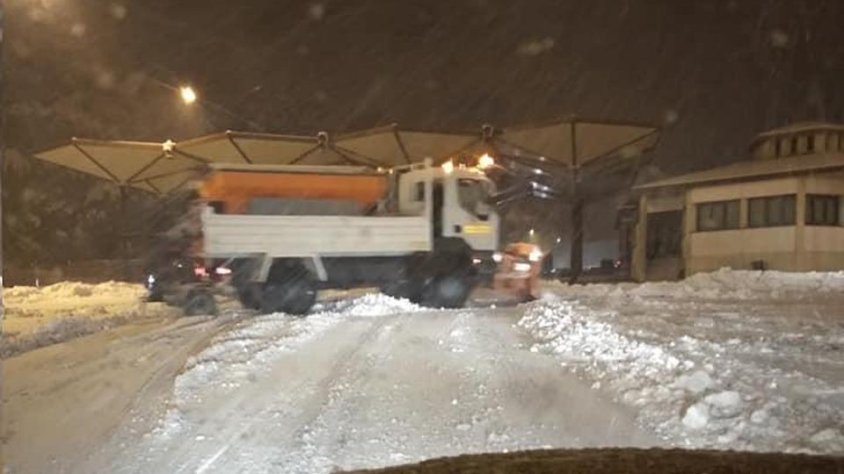 Llevaneus avui de matinada al Portús