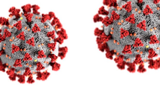 Els esportistes jonquerencs no competiran en els propers 15 dies
