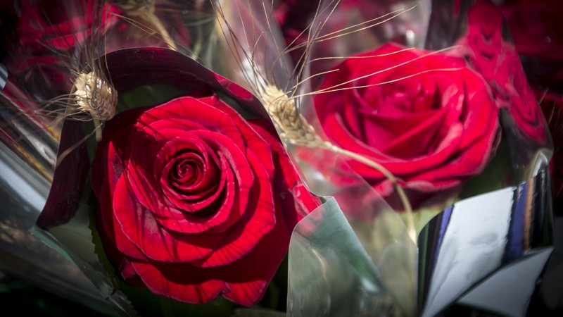 Habitualment el carrer Major s'omple de paradetes, i de gent