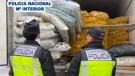 Detenen un camioner que portava més de 97 kg de marihuana amagats entre patates