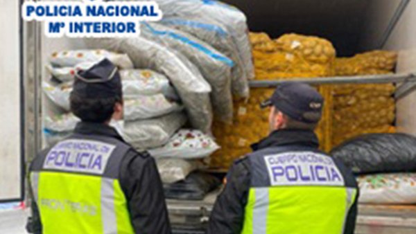 La droga estava repartida en 17 bosses de plàstic