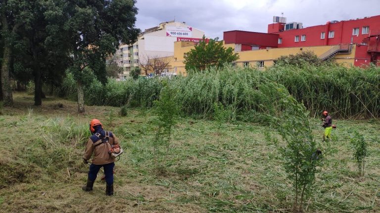 Els operaris, netejant vegetació i sotabosc