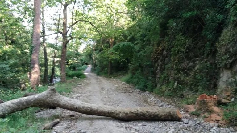 Imatge d'un dels camins