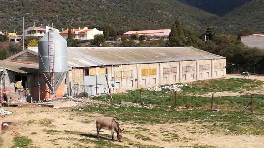 Imatge de la Granja Els Noguers. El tribunal dona la raó a un recurs de IADEN-Salvem l'Empordà .