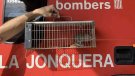 Els bombers de la Jonquera denuncien a les xarxes socials l'estat de la caserna