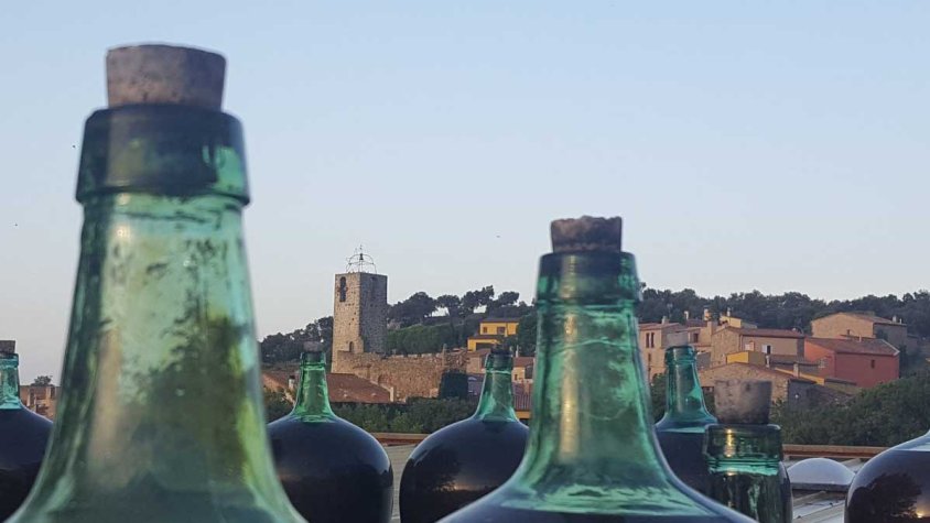 Premi per als vins de Vinyes dels Aspres de Cantallops. Imatge d'arxiu.
