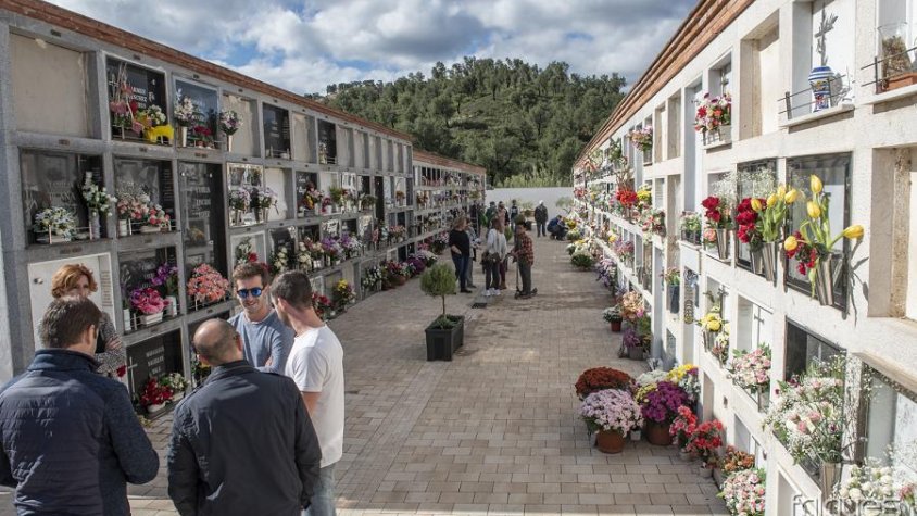 El cementiri municipal ha lluït aquesta setmana els seus millors colors