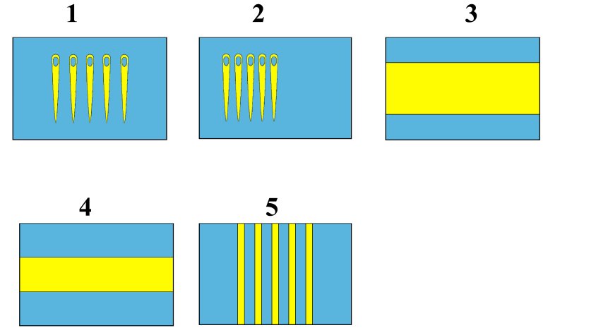 Els cinc models proposats
