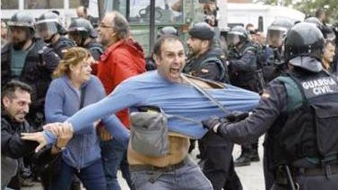 Les imatges són de temes d'allò més diversos