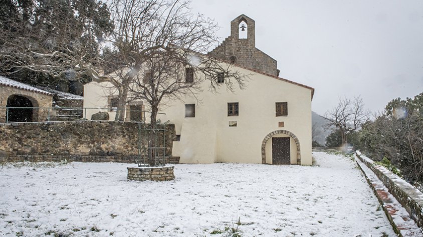 Desenes de jonquerencs s'han acostat aquest cap de setmana a Santa Llúcia