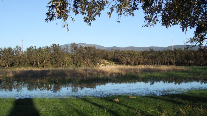 Amb la subvenció l'ACEJ impulsarà diverses activitats, com ara de lleure educatiu que promoguin la coneixença de la natura