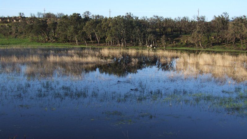 Desestimat el parc eòlic Ventador de Capmany,  el qual s'havia projectat al límit amb l'espai protegit de les Basses de l'Albera