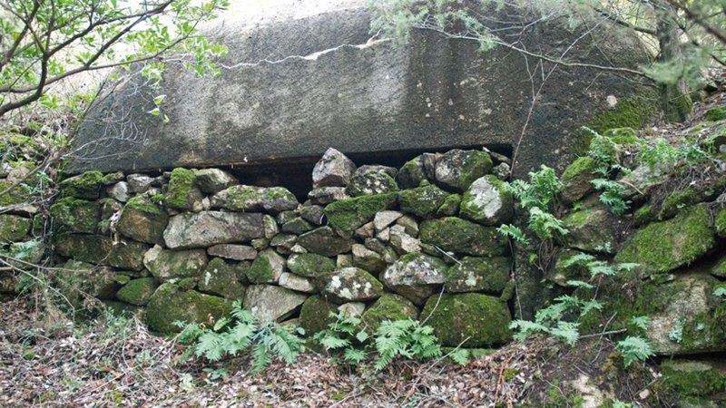Un dels búnquers de la Línia P a la zona dels Querols de la Jonquera