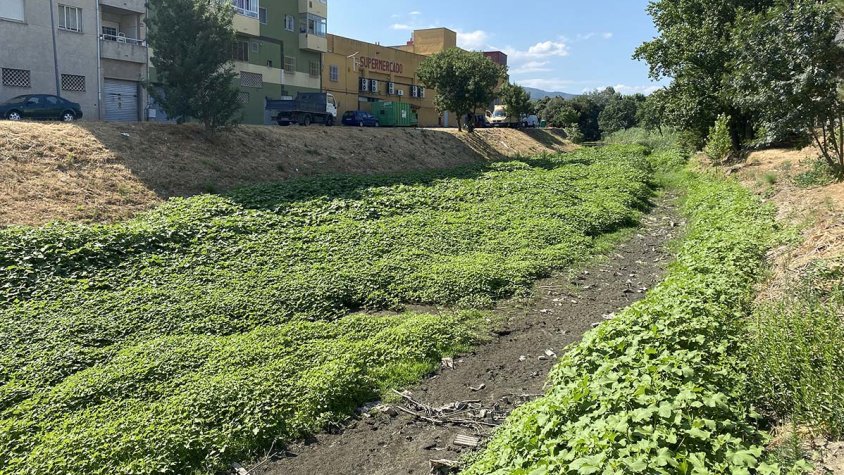 Riu Llobregat d'Emporda al seu pas per la Jonquera el passat 9 de juliol de 2021