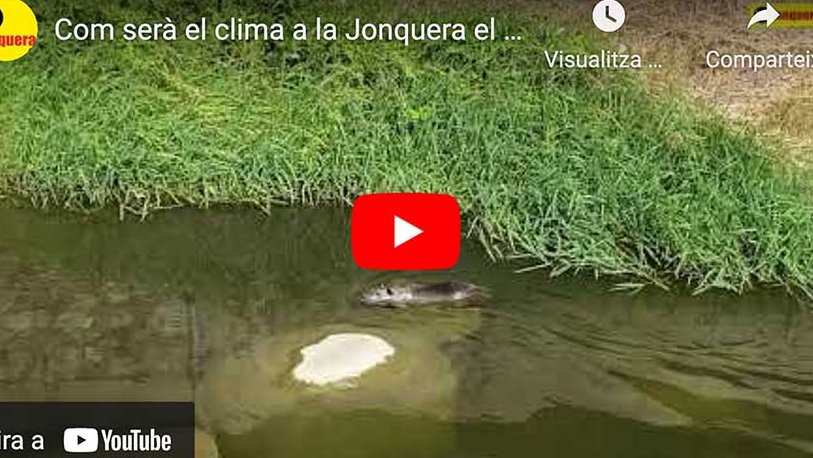 Caràtula vídeo Com serà el clima a la Jonquera el 2100?
