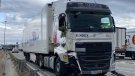 Transportes El Mosca condemna l'actuació del xofer