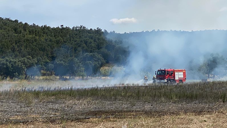 Catalunya afronta la pitjor setmana de perill d'incendi dels últims 18 anys