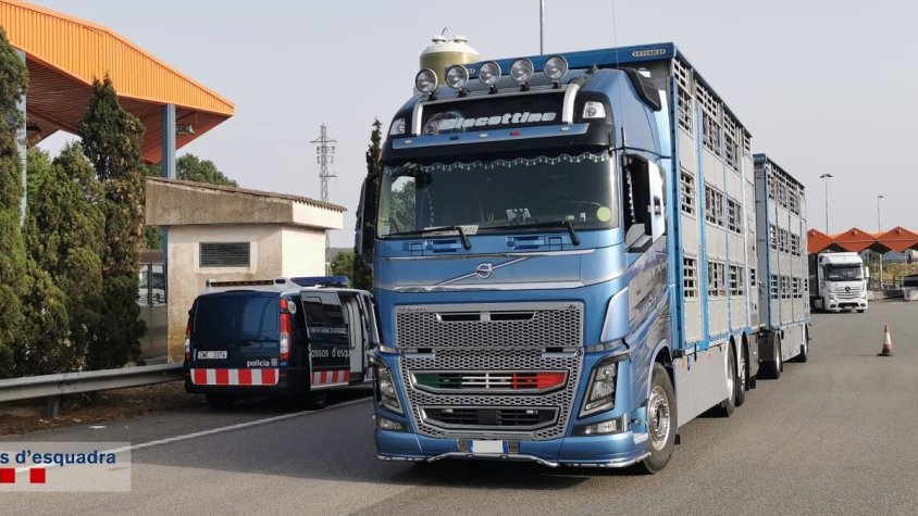 Detenen un camioner a la Jonquera per utilitzar la targeta de conductor del tacògraf d'una altra persona