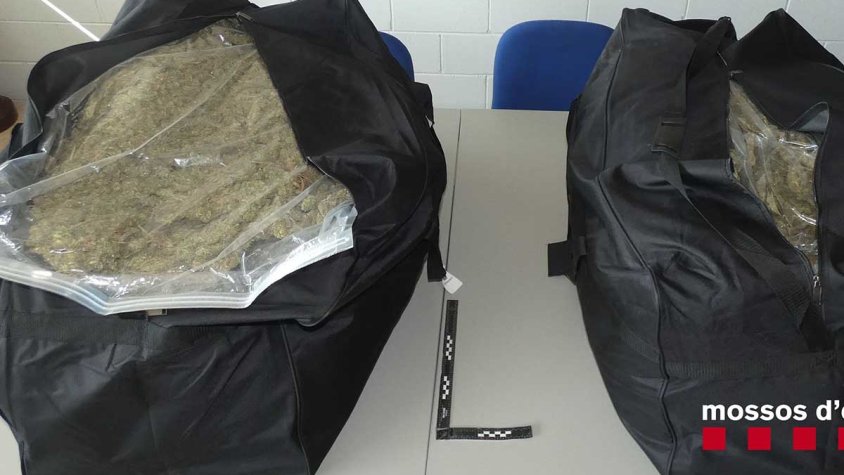 A presó el conductor d'un camió que transportava 40 quilos de cabdells de marihuana a la Jonquera