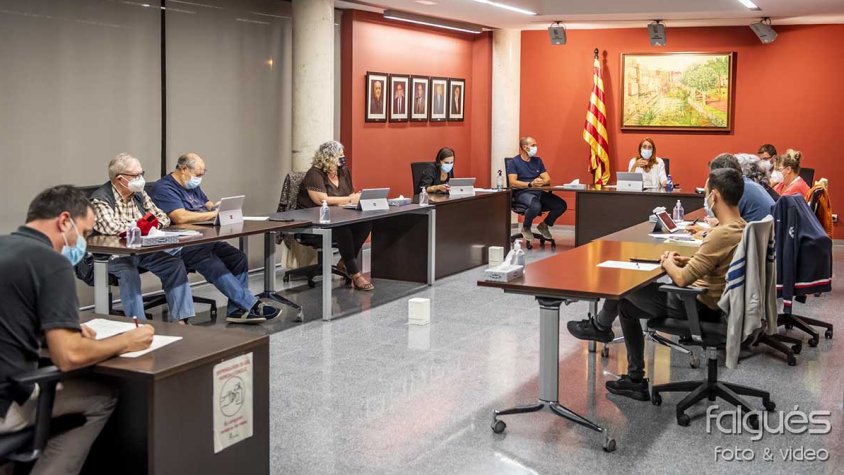 En aquest cas, el ple extraordinari va ser telemàtic