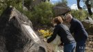 Arriba la Trobada anyal al Coll de Panissars