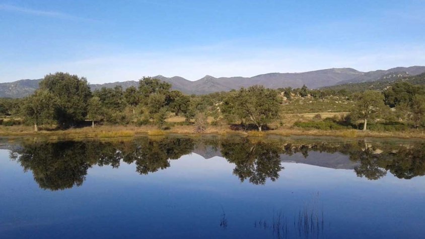 La conservació de les Basses de l'Albera, objecte d'estudi d'un projecte europeu