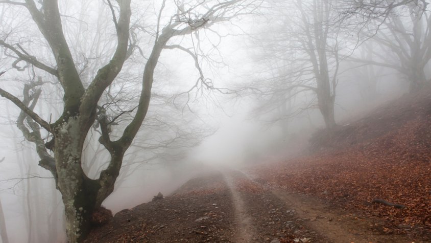 Trobada d'Estudiosos a l'Albera a Can Laporta