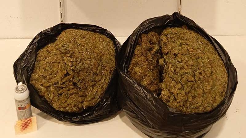 Marihuana amagada en la bodega d'un autobús