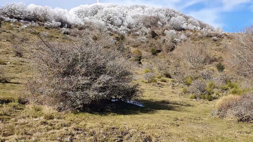 Completat el projecte dels mulladius de Puig Neulós