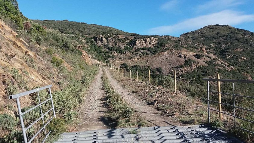 Pas canadenc que permet passar els cotxes però no el bestiar en una pista forestal de l'Albera