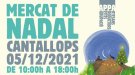 Cantallops acull avui el Mercat de Nadal